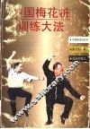 中国梅花桩训练大法 封面