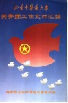 山东中医药大学共青团工作文件汇编 封面