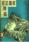 夜幕正在降临  都市夜生活纪实 封面