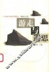 游走与遐思 封面