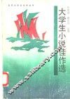 大学生小说佳作选 封面