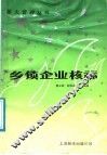乡镇企业核算 封面