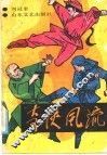奇侠风流 封面