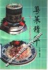 粤菜精华  家庭菜谱 封面