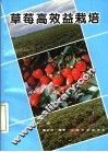 草莓高效益栽培 封面