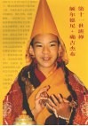 第十一世班禅额尔德尼·确吉杰布 封面