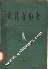 东北春小麦 封面