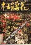 杜鹃花 封面