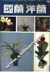 国兰、洋兰 封面