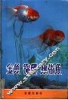 金鲤  锦鲤  热带鲤 封面