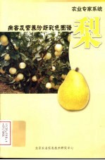 梨  病害及营养诊断彩色图谱 封面