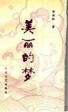 美丽的梦 封面