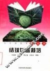 结球甘蓝栽培 封面