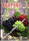 葡萄保护地栽培120问 封面