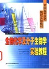 生物化学及分子生物学实验教程 封面