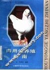 肉用鸽养殖指南 封面