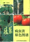 蔬菜病虫害原色图谱 封面