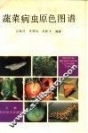 蔬菜病虫原色图谱 封面