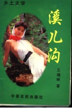 溪儿沟 封面