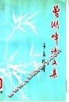 曾湖峰诗文集 电子书封面