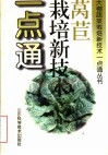 莴苣栽培新技术一点通 封面