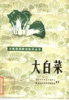 大白菜 封面