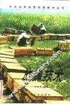 放蜂技术 封面