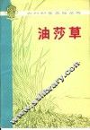 油莎草 封面