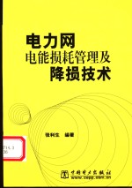 电力网电能损耗管理及降损技术 封面