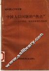 中国人口问题的“热点”  人口理论、发展战略和生育政策 封面