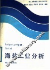海盐工业分析 封面