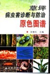 草坪病虫害诊断与防治原色图谱 封面