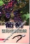葡萄整形修剪图解 封面