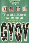 国有企业下岗职工再就业运作实务 封面
