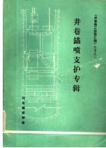 井巷锚喷支护专辑 封面