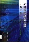 矿井瓦斯综合治理示范工程  国家“九五”重点科技攻关项目成果 封面