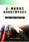 急－倾斜厚煤层高效综放长壁开采技术 封面