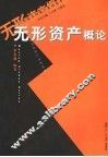 无形资产概论 封面