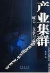 产业集群成长、竞争与战略 封面