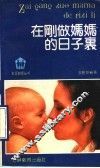 在刚做妈妈的日子里 封面