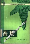 香蕉 封面