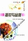 插花与盆栽 封面