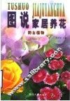 图说家居养花阳台植物 封面