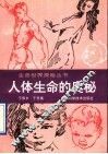 人体生命的奥秘 封面
