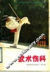 武术伤科 封面