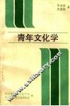 青年文化学 封面