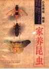 家养昆虫 封面