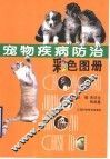 宠物疾病防治彩色图册 封面