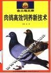 肉鸽高效饲养新技术 封面