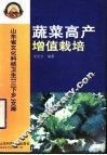 蔬菜高产增值栽培 封面
